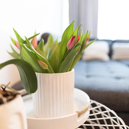 Jaamamoisa Apartement Tartu